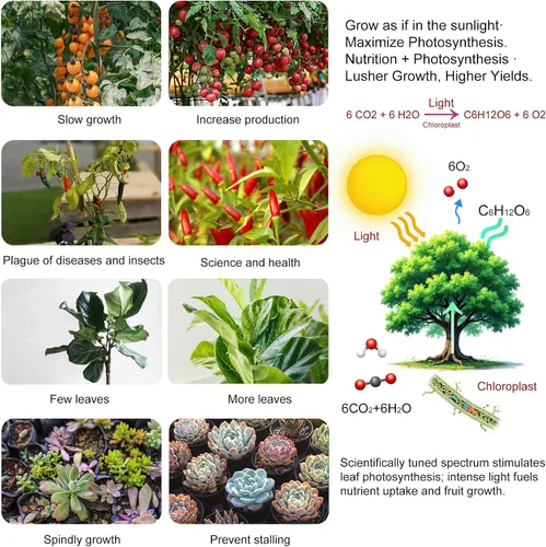 Miniatura 2 de Paquete de 2 paneles LED de luz de crecimiento de 200 W para plantas de interior, espectro completo con LED UV IR blanco, azul, rojo, para cobertura