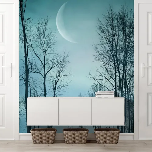 Miniatura 56 de wall26 - Cielo nocturno estrellado Espacio exterior profundo - Mural de pared extraíble Papel pintado autoadhesivo grande - 100x144 pulgadas Obra