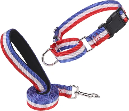 Miniatura 8 de Martingale - Juego de collar y correa para perro, para caminar, jugar, entrenar, collares reflectantes ajustables con correa para perros pequeños
