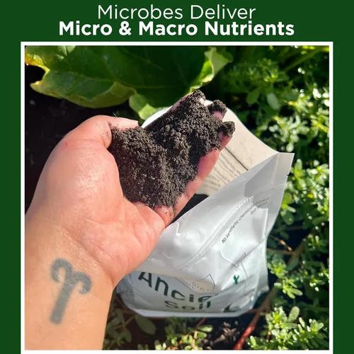 Miniatura 6 de Elm Dirt Suelo antiguo prémium para todas las plantas, suelo orgánico para plantas de exterior y suelo de plantas de interior, suelo de jardín