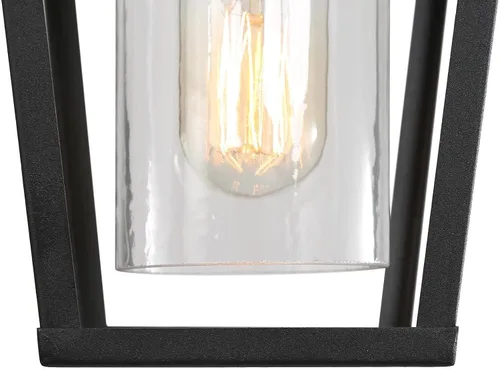 Miniatura 7 de classy leaves Lámpara colgante al aire libre para porche, luz colgante negra con vidrio transparente, moderna jaula de metal de granja, cadena