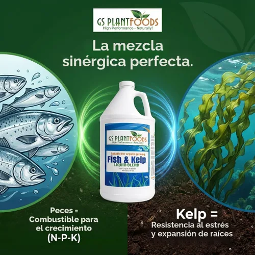 Miniatura 2 de GS Plant Foods Fertilizante Líquido de Pescado y Algas Kelp (1 Galón) – Alimento Vegetal Natural Listado por el Instituto de Revisión
