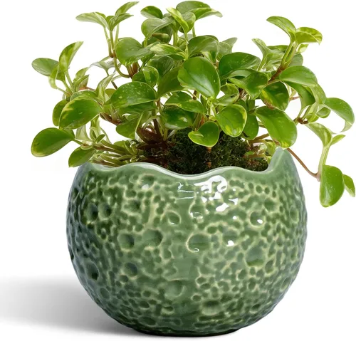 Macetas de Cerámica Thirtypot - Maceta de 4 Pulgadas con Agujero de Drenaje, Macetas Pequeñas para Plantas de Interior y Exterior, Maceta Redonda