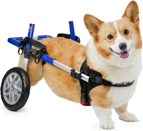 Walkin' Wheels Silla de ruedas Corgi Dog – para perros pequeños Corgi de 11 a 44 libras – Aprobado por veterinarios – Silla de ruedas para perros