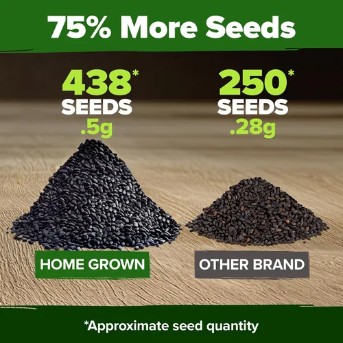 Miniatura 3 de HOME GROWN Paquete de semillas de albahaca tailandesa – 438 semillas de hierbas tradicionales de alta germinación para plantar, ideal para cultivar