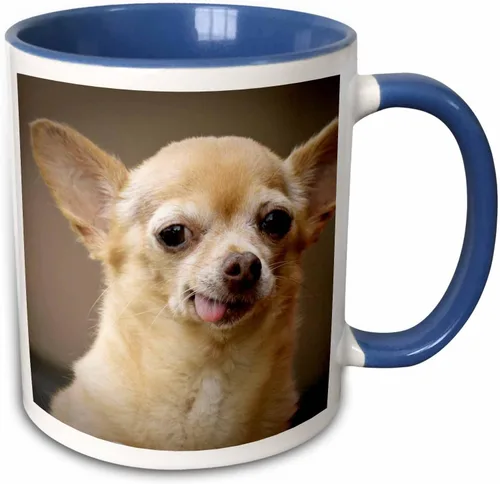 Miniatura 10 de 3dRose Taza de café, tamaño – 15 oz – Perro Chihuahua sin dientes, Santa Fe, Nuevo México – US32 JMR0502 – Julien McRoberts Dogs – divertido regalo