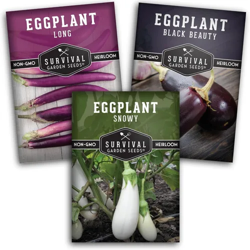 Survival Garden Seeds Colección de berenjenas, 3 variedades, semillas de berenjena italianas largas, moradas, negras y nevadas, semillas