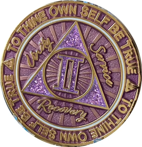 Miniatura 3 de 2 años AA Medallion Cosmic Purple Glitter Gold Plated Chip