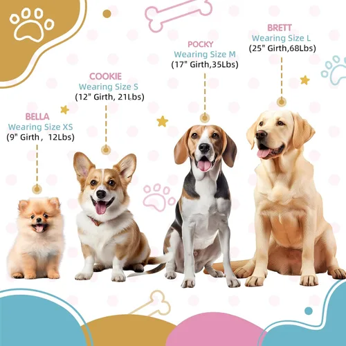 Miniatura 2 de Arnés de perro ajustable tricolor para perros pequeños y XS - Arnés resistente y fácil de caminar para cachorros, azul y rosa