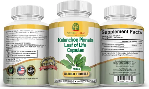 Nature Herbal Life Kalanchoe Pinnata-Leaf of Life (Bryophyllum Pinnatum) Lao Di Sheng Gen, cápsulas. 1 botella-750 mg, 60 unidades (paquete de 1)