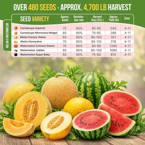 Miniatura 3 de Organo Republic Paquete variado de 7 semillas de melón y sandía, 480+ semillas de frutas reliquia sin OMG para plantar frutas en paquetes