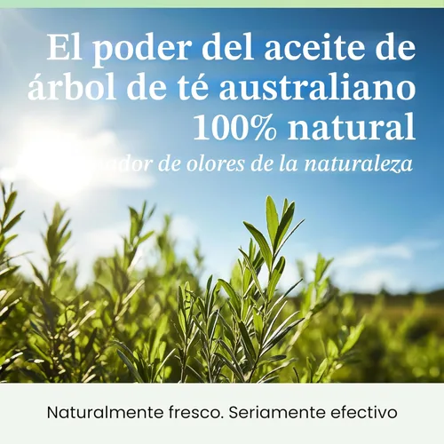 Miniatura 5 de Azuna Ambientador y eliminador de olores para olores fuertes El kit de 2 habitaciones incluye (2) frascos de vidrio de lujo vacíos de 8 onzas y 12