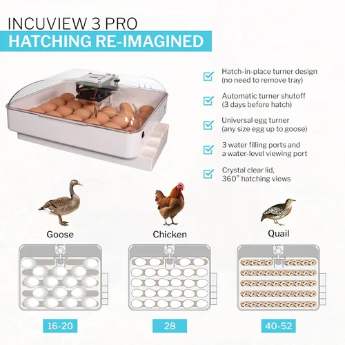 Miniatura 6 de IncuView 3 Pro Incubadora automática todo en uno para huevos de gallina (universal) Huevos para incubar Girador automático de huevos Pollo