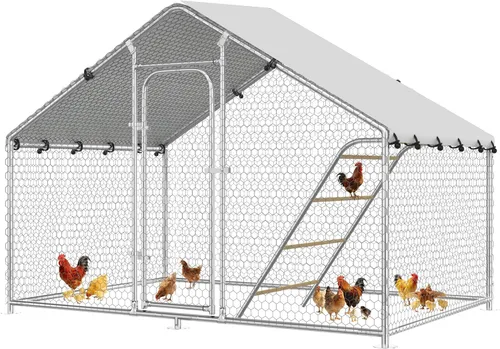 Miniatura 17 de Gallinero grande de metal para pollos con percha para posarse, gallinero de entrada para aves de corral, casa para patos, corral para pollos