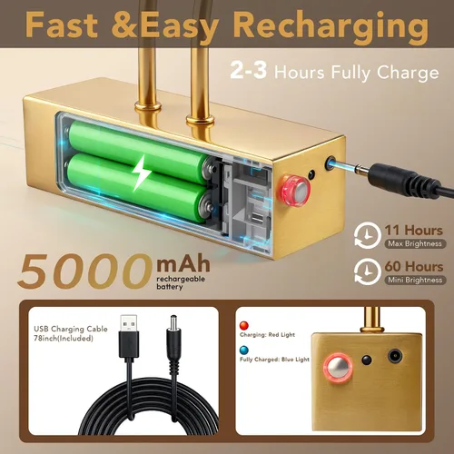 Miniatura 3 de RAIFOOLLY Luz de imagen, luces de imagen para pared inalámbricas, luces de imagen de 13 pulgadas con temporizador y regulable, luces de pared