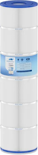 R173217 Cartucho de filtro de piscina de repuesto para Pentair CC200, C-9419, PAP200, FC-0688,200 pies cuadrados, 1 paquete