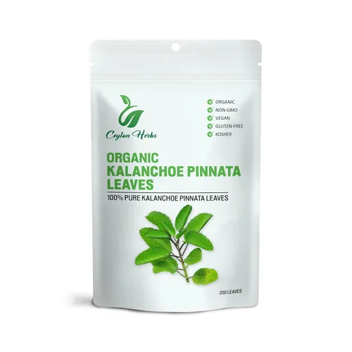 200 hojas Kalanchoe Pinnata – Hojas orgánicas secas, saludables, bien limpias, sin aditivos, 100% puras y naturales