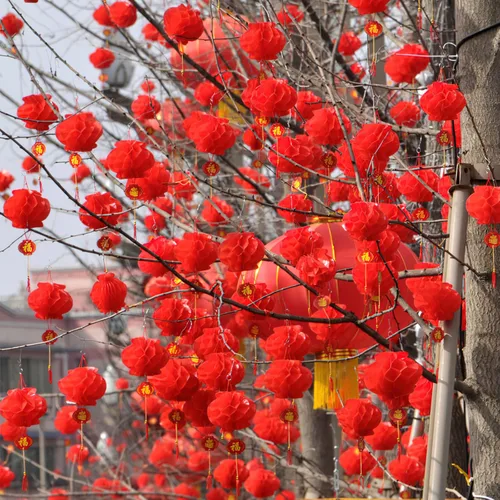 Miniatura 7 de 60 linternas chinas rojas para decoración de Año Nuevo, festival de primavera, boda, restaurante