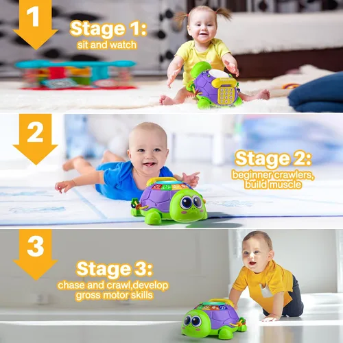Miniatura 2 de INNOSKY Juguetes para bebés de 6 a 12 meses, juguetes musicales de tortuga para gatear y tiempo de barriga, juguetes educativos bilingües para niños