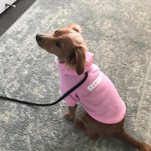 Miniatura 5 de BINGPET - Sudaderas con capucha de seguridad para perros, suéter para cachorros, abrigos para perros para clima frío, suéter con capucha de forro #1