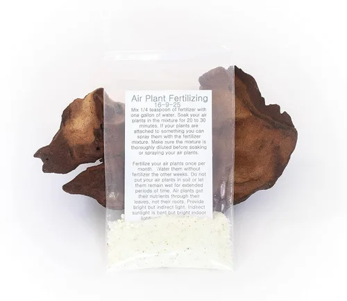 Miniatura 4 de Paquete de bolsas de agarre, plantas de aire pequeñas y medianas, paquete de fertilizantes, al por mayor, a granel, Tillandsia viva, planta