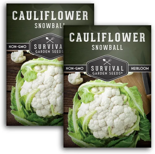 Miniatura 10 de Semillas de coliflor para plantar, variedad blanca reliquia de bola de nieve, cultivo de temporada corta resistente al frío para jardines