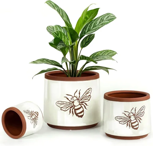Miniatura 14 de Macetas de terracota con orificios de drenaje con decoración de abejas, macetas de cerámica para plantas de interior y exterior, suculentas