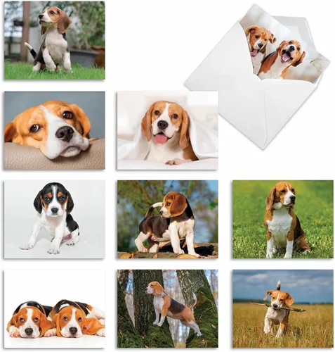 Miniatura 11 de The Best Card Company - 10 adorables tarjetas de perro en blanco (4 x 5.12 pulgadas) - Razas de mascotas surtidas, juego en caja - Adorables perros