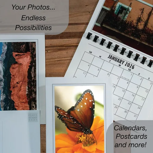 Miniatura 9 de Photographer's Edge, Tarjetas de inserción de fotos, 10 tarjetas en blanco y sobres, tarjetas para todas las ocasiones, para fotos de 4 x 6