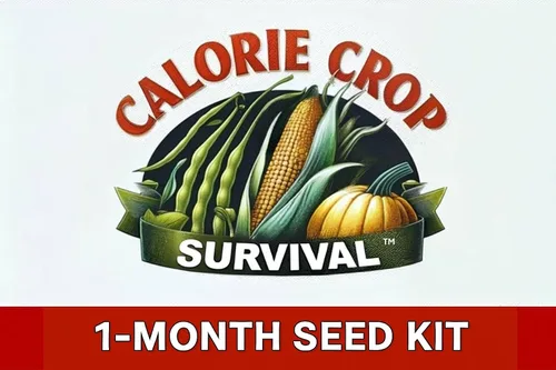 Miniatura 8 de Calorie Crop Survival Kit de semillas de 1 mes – Cultiva calorías de 30 días – Semillas de maíz, frijoles y calabaza – Polinización abierta