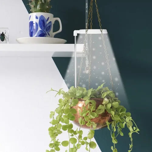 Miniatura 6 de GYTF Luz de cultivo de plantas Halo, lámpara LED blanca de 6000 K de espectro completo para plantas de interior, suculentas, mini bonsái, plantas