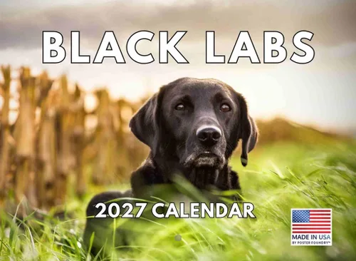 Miniatura 72 de Calendario de pared mensual 2025 Great Dane de 12 meses, fabricado en Estados Unidos