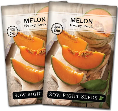 Miniatura 7 de Sow Right Seeds - Semillas de melón Honey Rock para plantar - Paquete de reliquia sin OMG con instrucciones para plantar un huerto casero - Cultiva
