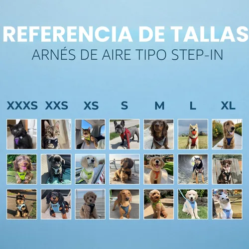 Miniatura 6 de Best Pet Supplies - Arnés Voyager Step-in Air hecho de malla para todo tipo de clima, reflectante, arnés sin tirón para perros y gatos - Seguro
