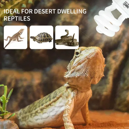 Miniatura 4 de LUCKY HERP Paquete de 2 luces UVA UVB para reptiles, 15 W 10.0 UVB para reptiles del desierto, lámpara fluorescente compacta de terrario, bombilla
