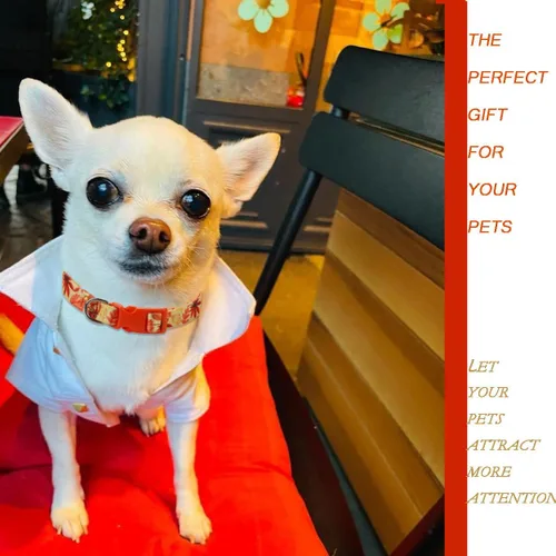Miniatura 4 de Collar de otoño para perros pequeños, paquete de 2 collares de perro de Acción de Gracias con patrón de arce y flores, ajustable y suave de llevar