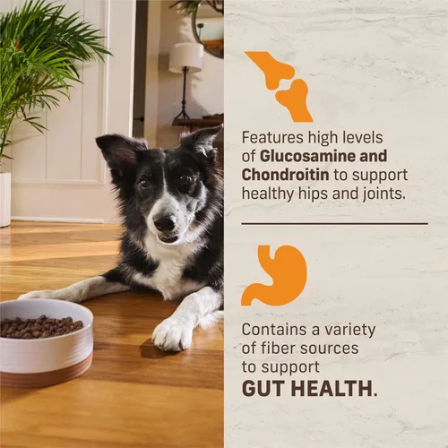 Miniatura 10 de Merrick Healthy Grains - Alimento seco prémium para perros adultos, croquetas saludables y naturales con pollo y arroz integral, bolsa de 12.0 libras