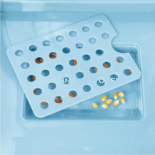 Miniatura 8 de West Bend Stir Crazy pochoclera estilo cine, máquina para hacer palomitas de maíz gourmet con caldera antiadherente, herramienta de medición y Azul