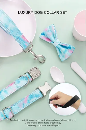 Miniatura 5 de Collar de perro personalizado, grabado personalizado con nombre de mascota, número de teléfono, etiqueta de identificación para razas pequeñas