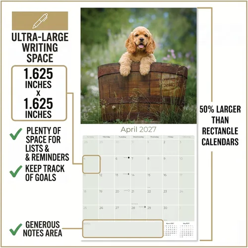 Miniatura 4 de Calendario 2025 2026 de cachorros Cocker Spaniel - Calendario mensual de pared de raza de perro - 12" x 24" abierto - Papel grueso sin sangrado