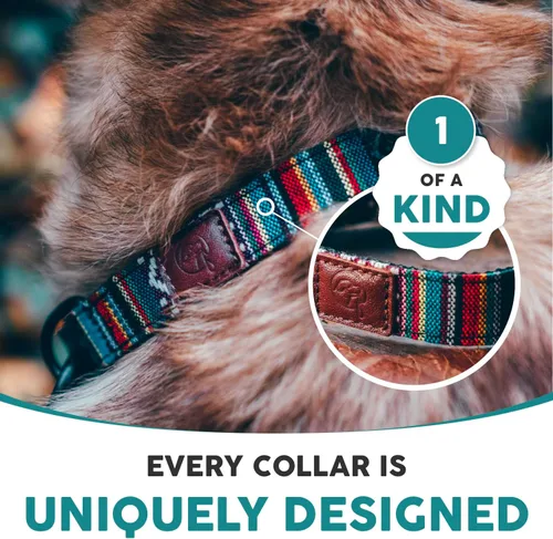 Miniatura 3 de Collar para Perros de Aventura Embark – Collares de Nylon Elegantes y Duraderos para Perros Grandes, Collar Cómodo para Mascotas, Collares para Maya