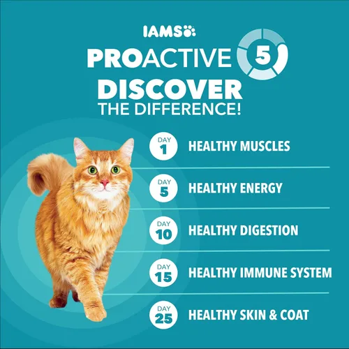 Miniatura 40 de Iams Proactive Health Adult Indoor Weight & Hairball Control Comida seca para gatos