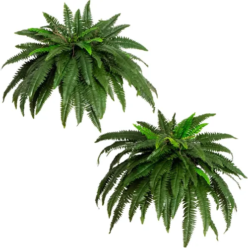Nearly Natural Planta artificial de helecho Boston de 48 pulgadas, planta falsa colgante grande con 67 fronds realistas largos, helecho sintético