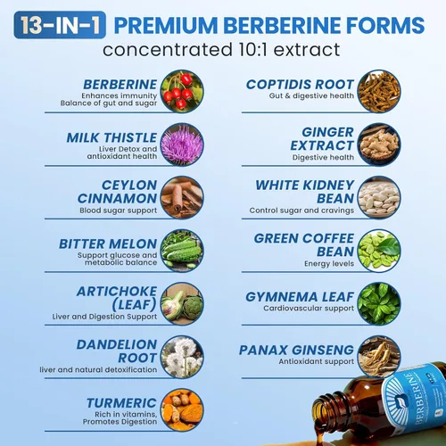 Miniatura 4 de Suplemento de berberina con canela de Ceilán - Gotas líquidas de berberina con cardo mariano, canela de Ceilán, cúrcuma, melón amargo, fitosoma