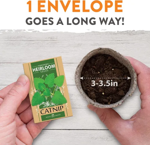 Miniatura 6 de HOME GROWN Mezcla de 2,160 semillas de plantas para gatos – Hierba gatera sin OMG, citronela, regaliz, tomillo y valeriana – Kit de recambio