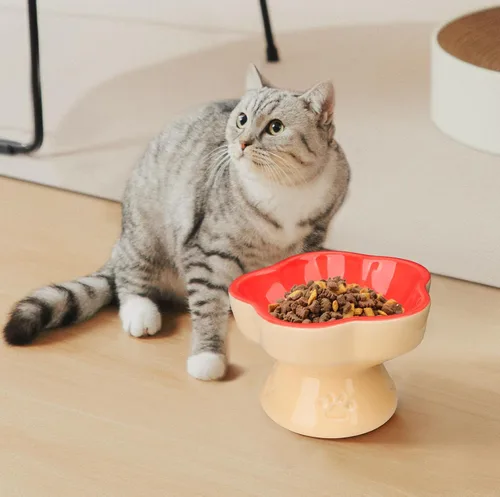 Miniatura 5 de S&Q'S CERAMICS Tazón Elevado para Gatos, Cuenco Elevado para Gatos para Comida y Agua, Plato de Cerámica Inclinado, Anti Vómito y Amigo
