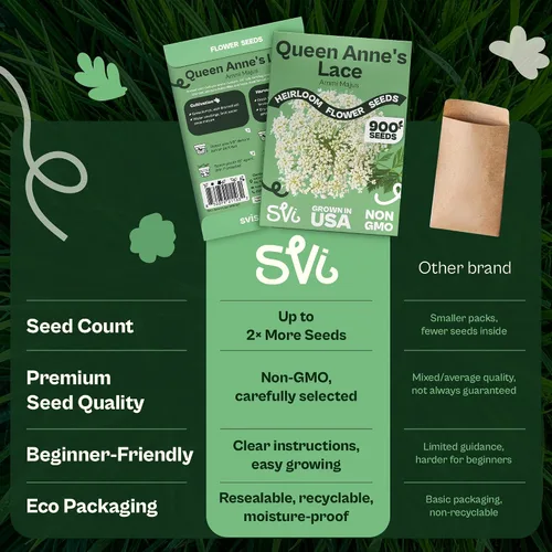 Miniatura 6 de Queen Anne 's Lace- 200 semillas – 50% de descuento venta
