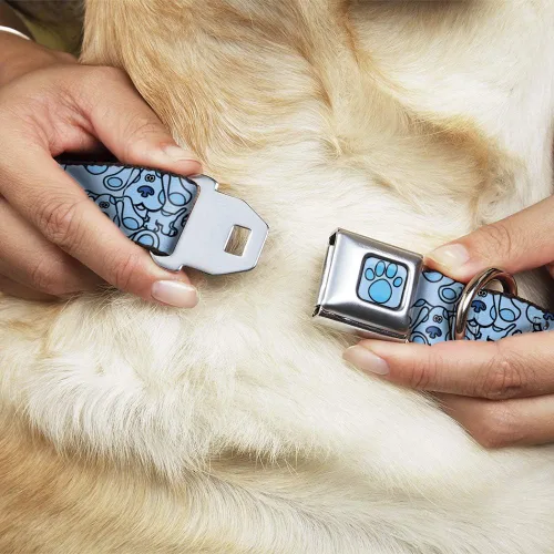 Miniatura 8 de Buckle-Down Collar de perro Hebilla de cinturón de seguridad Blues Clues Blue Poses dispersas 9.5 a 13 pulgadas 1.0 pulgadas de ancho