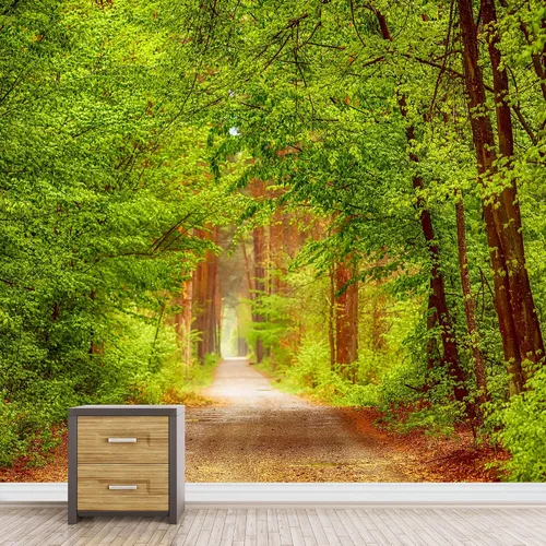 Miniatura 10 de SIGNFORD Adhesivo removible de pared/mural de pared, verde esmeralda, sol, bosque, árbol, árbol, naturaleza, desierto, fotografía, realismo