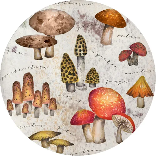 Miniatura 3 de Andreas - Abretarros de silicona, diseño de hongos místicos, agarre de tapa antideslizante de 6.25 pulgadas y pelador de ajo, apto para alimentos